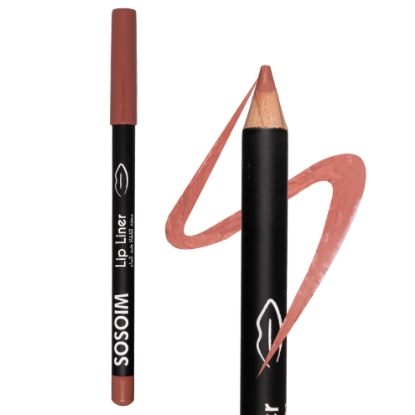 Picture of Lip Liner 203